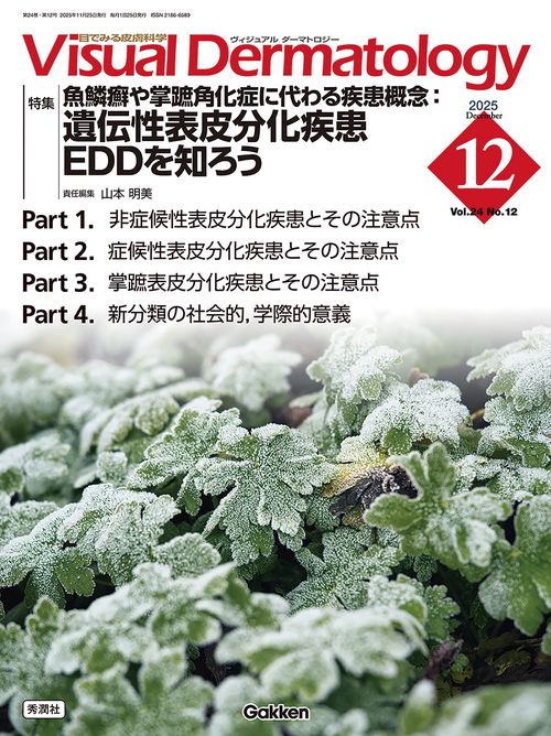 Ｖｉｓｕａｌ　Ｄ．　２０２５年１２月号　Ｖｏｌ．２４　Ｎｏ．１２