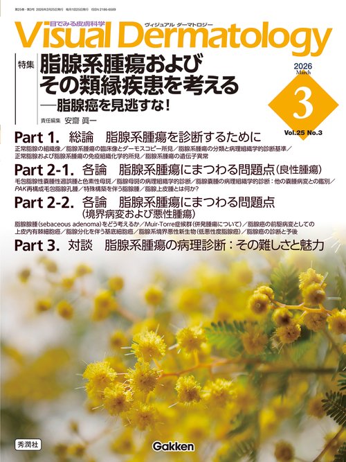 Ｖｉｓｕａｌ　Ｄ．　２０２６年３月号　Ｖｏｌ．２５　Ｎｏ．３