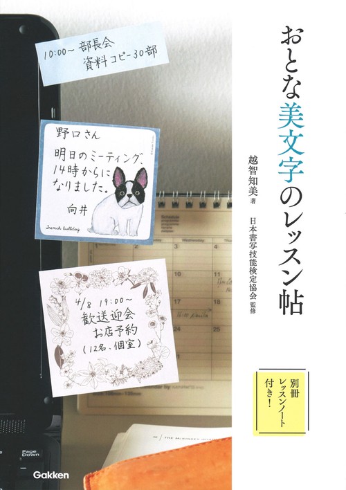 おとな美文字のレッスン帖