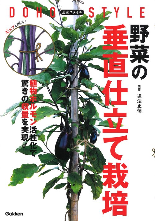 道法スタイル　野菜の垂直仕立て栽培