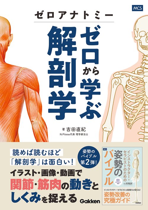 ゼロアナトミー ゼロから学ぶ解剖学 – 丸善ジュンク堂書店ネットストア