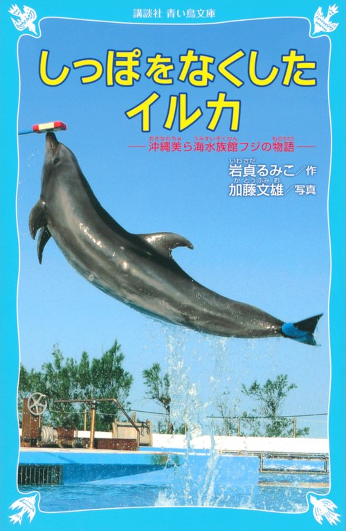 しっぽをなくしたイルカ　沖縄美ら海水族館フジの物語