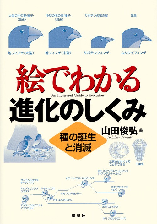 絵でわかる進化のしくみ　種の誕生と消滅