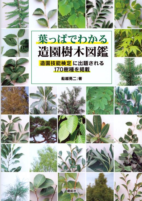 葉っぱでわかる造園樹木図鑑　造園技能検定に出題される170樹種を掲載