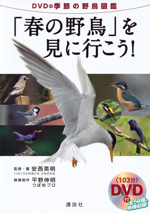 「春の野鳥」を見に行こう! DVD付季節の野鳥図鑑