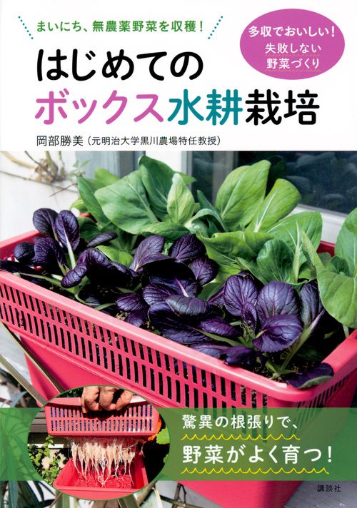 はじめてのボックス水耕栽培　まいにち、無農薬野菜を収穫！