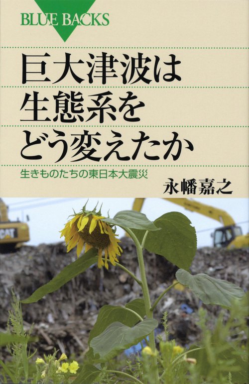 巨大津波は生態系をどう変えたか 生きものたちの東日本大震災