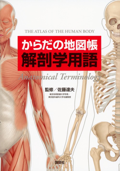 視覚解剖学と生理学、グローバルエディション+マルティーニの人体地図 からだの地図帳 解剖学用語 – 丸善ジュンク堂書店ネットストア