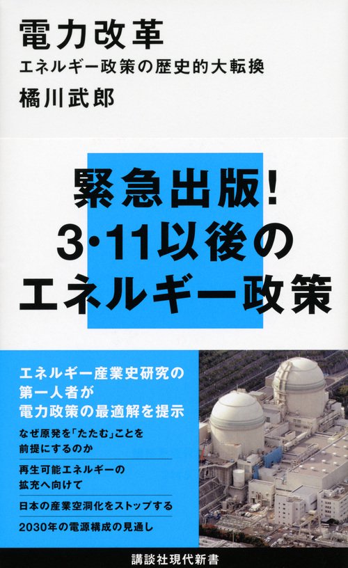 電力改革 エネルギー政策の歴史的大転換