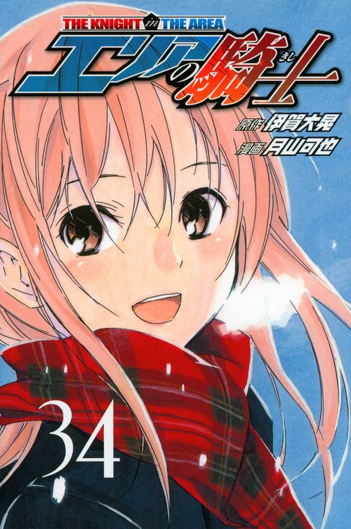 エリアの騎士（34）