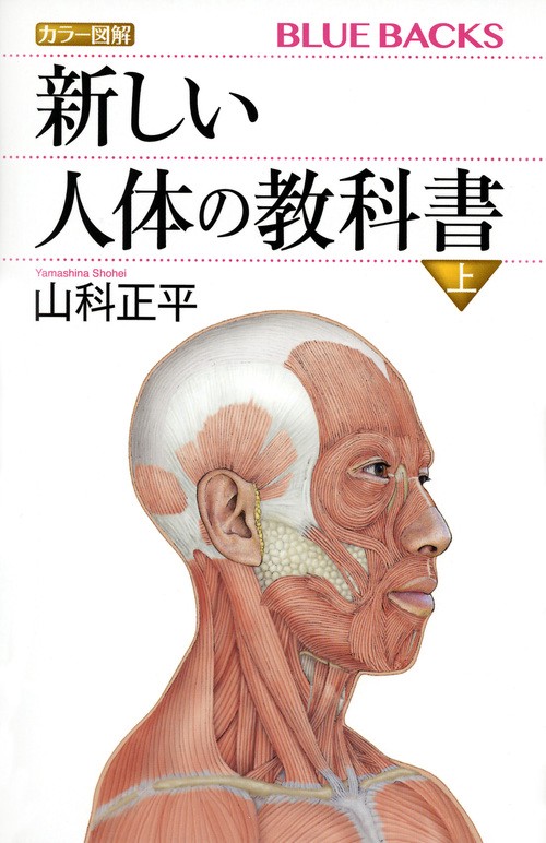 カラー図解　新しい人体の教科書　上