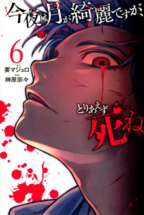 今夜は月が綺麗ですが、とりあえず死ね（6）