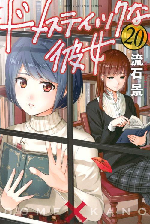 ドメスティックな彼女（20）
