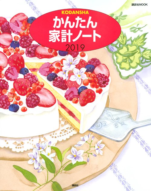'19 かんたん家計ノート