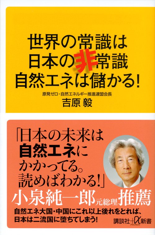 世界の常識は日本の非常識自然エネは儲かる!