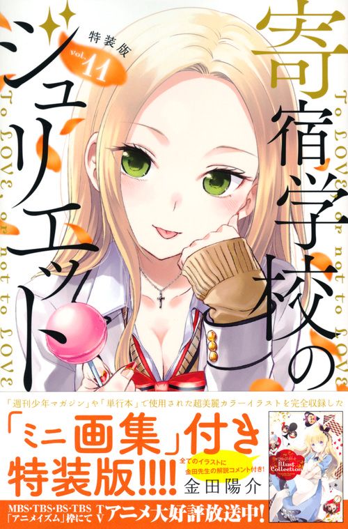 寄宿学校のジュリエット（11）特装版