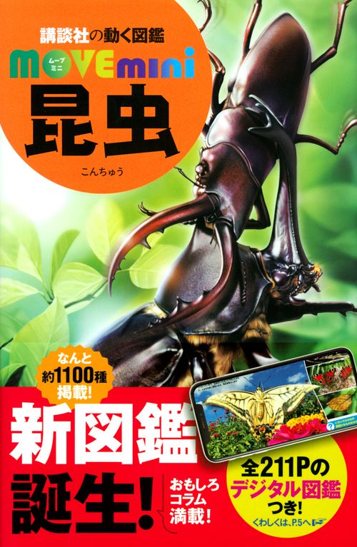 昆虫