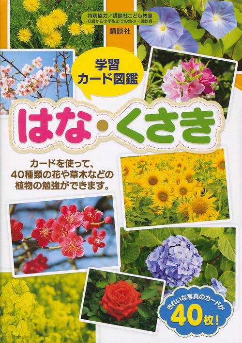 学習カード図鑑　はな・くさき