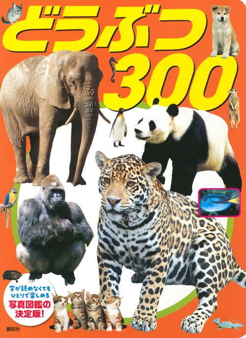 新装版　どうぶつ　300