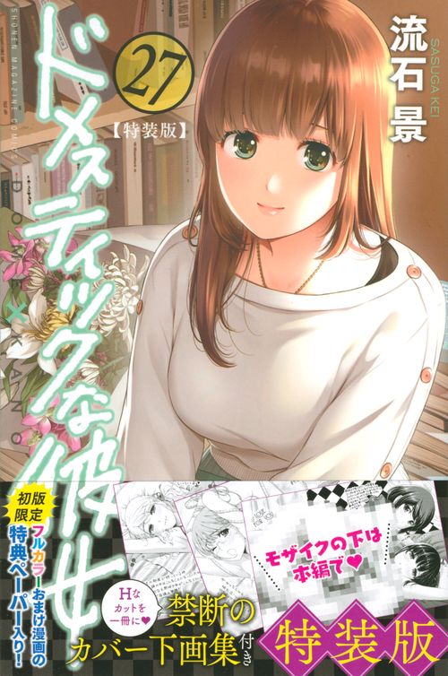 ドメスティックな彼女（27）特装版