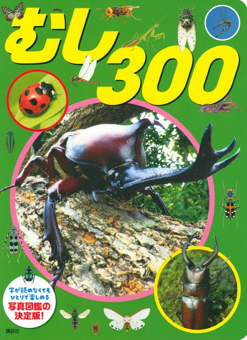 むし　300