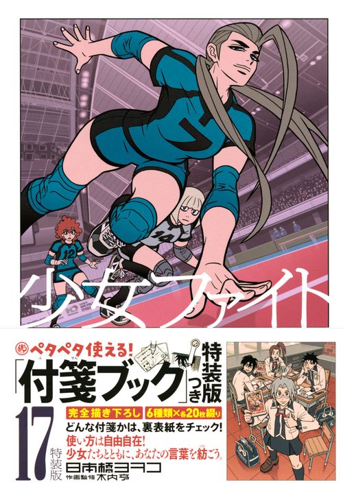 少女ファイト（17）特装版