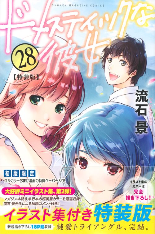 ドメスティックな彼女（28）特装版