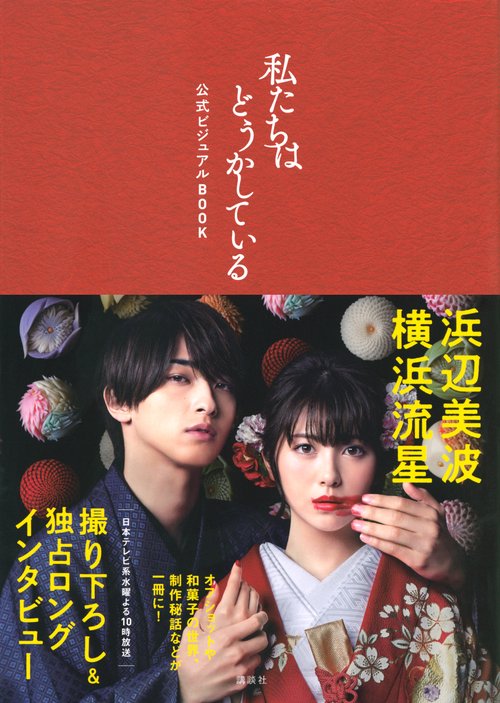私たちはどうかしている　公式ビジュアルBOOK