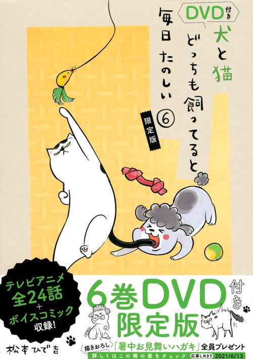 DVD付き　犬と猫どっちも飼ってると毎日たのしい（6）限定版