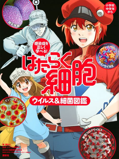 感染症を正しく学べる！ はたらく細胞 ウイルス＆細菌図鑑 – 丸善