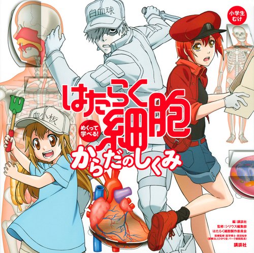 めくって学べる！　はたらく細胞　からだのしくみ