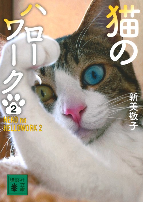 猫のハローワーク2