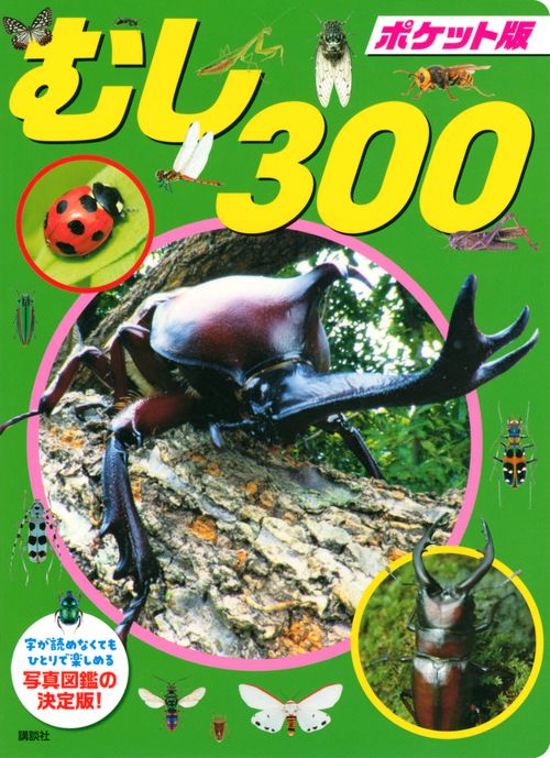 ポケット版　むし　300