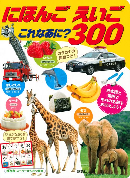 げんきスーパーかんさつ絵本　にほんご　えいご　これなあに？　300