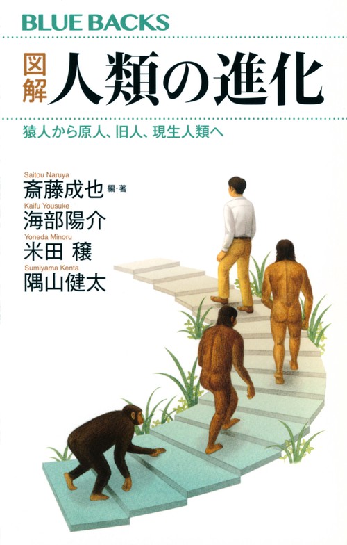 図解　人類の進化　猿人から原人、旧人、現生人類へ