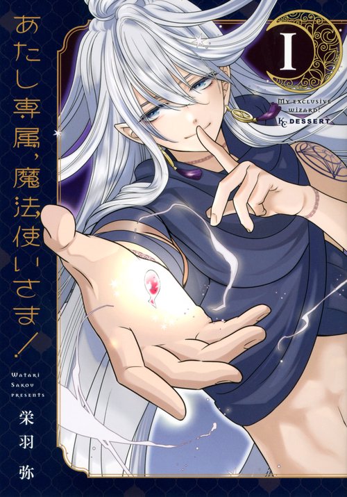 あたし専属、魔法使いさま！（1）