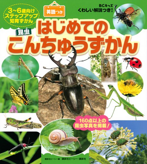 BCキッズ　くわしい解説つき！　はじめての　こんちゅうずかん　英語つき