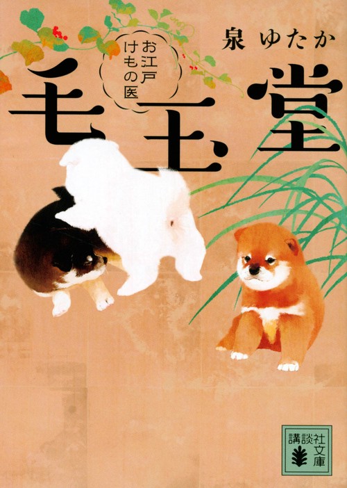 お江戸けもの医　毛玉堂