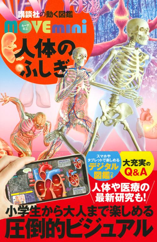 人体のふしぎ