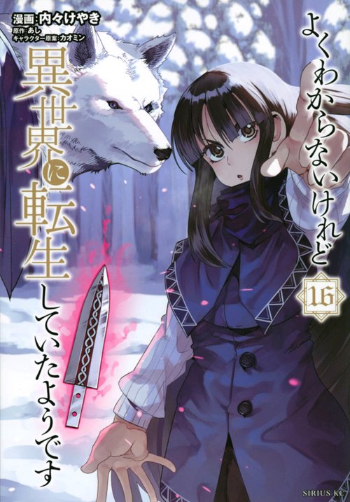 よくわからないけれど異世界に転生していたようです（16）