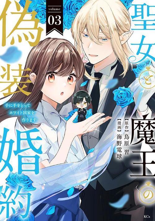 聖女と魔王の偽装婚約手に手をとってホワイト国家を作ります（3）