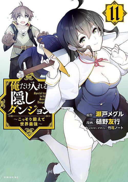 俺だけ入れる隠しダンジョン　こっそり鍛えて世界最強（11）