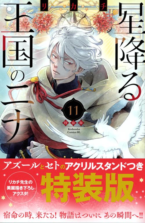 星降る王国のニナ 1〜16巻 特典付セット（11巻特装版） リカチ 星降る王国のニナ（11）特装版 – 丸善ジュンク堂書店ネットストア