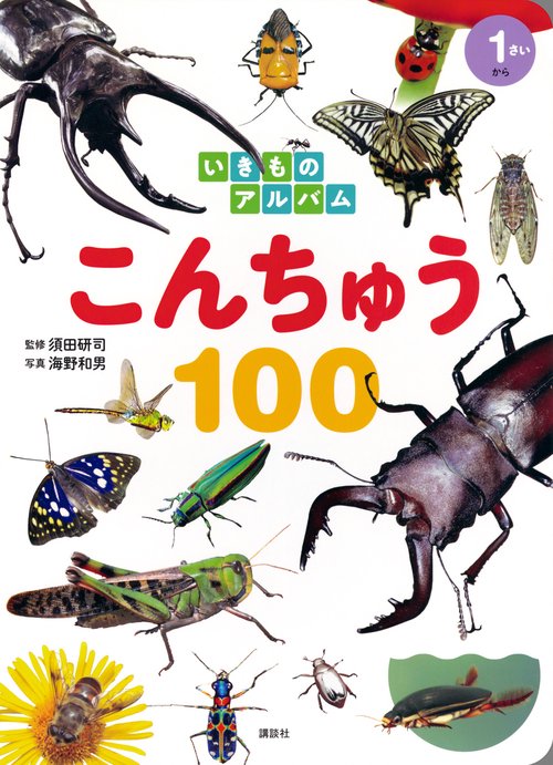 いきものアルバム　こんちゅう100