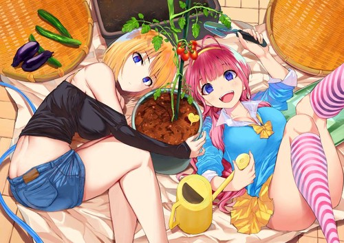 双子菜園（1）