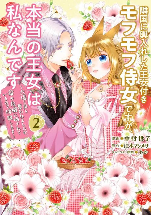 隣国に輿入れした王女付きモフモフ侍女ですが、本当の王女は私なんです（2）　立場と声を奪われましたが、命の危機に晒されているので傍観します