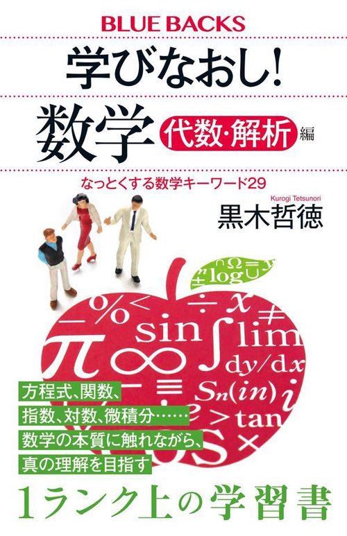 学びなおし　数学！　代数・解析編　なっとくする数学キーワード29