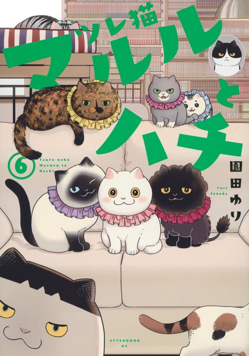 ツレ猫　マルルとハチ（6）