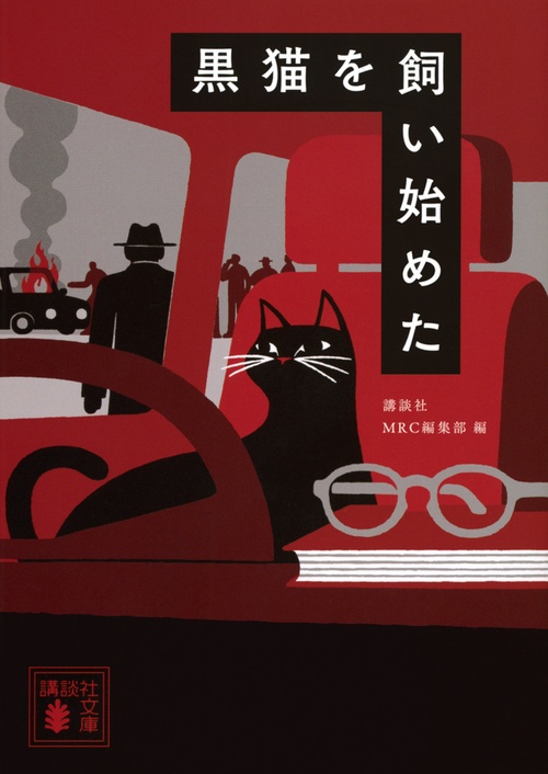 黒猫を飼い始めた