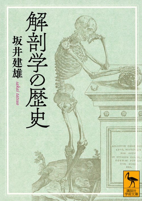 解剖学の歴史